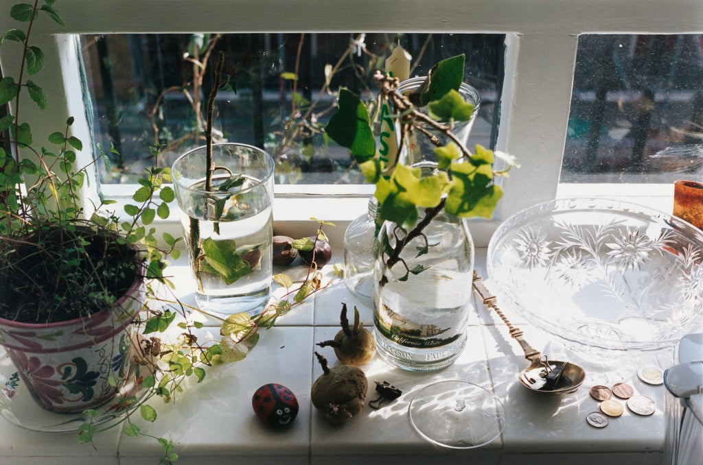 ヴォルフガング・ティルマンス《静物、ボーン・エステート》2002年 ポーラ美術館 Image by © Wolfgang Tillmans, Courtesy Wako Works of Art