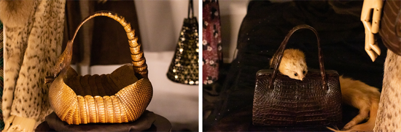 左：アペルト・アルマジロ・カンパニー(テキサス州)で製作されたと考えられる　　　　　　　　　　　　　　　　　　　　　　　　　　　　　　　　　　　　　　　　　　　　　　　　　　　　　　　　　　　　　　　　　　　　　　　　　　ココノオビアルマジロのバスケット20世紀前半(推定)　　　　　　　　　　　　　　　　　　　　　　　　　　　　　　　　　　　　　　　　右：ワニ革のハンドバッグとテンの襟巻20世紀前半(推定)　共にアクセサリーミュージアム蔵