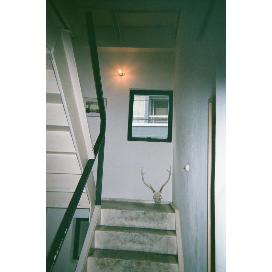 階段に鹿のオブジェが映る写真