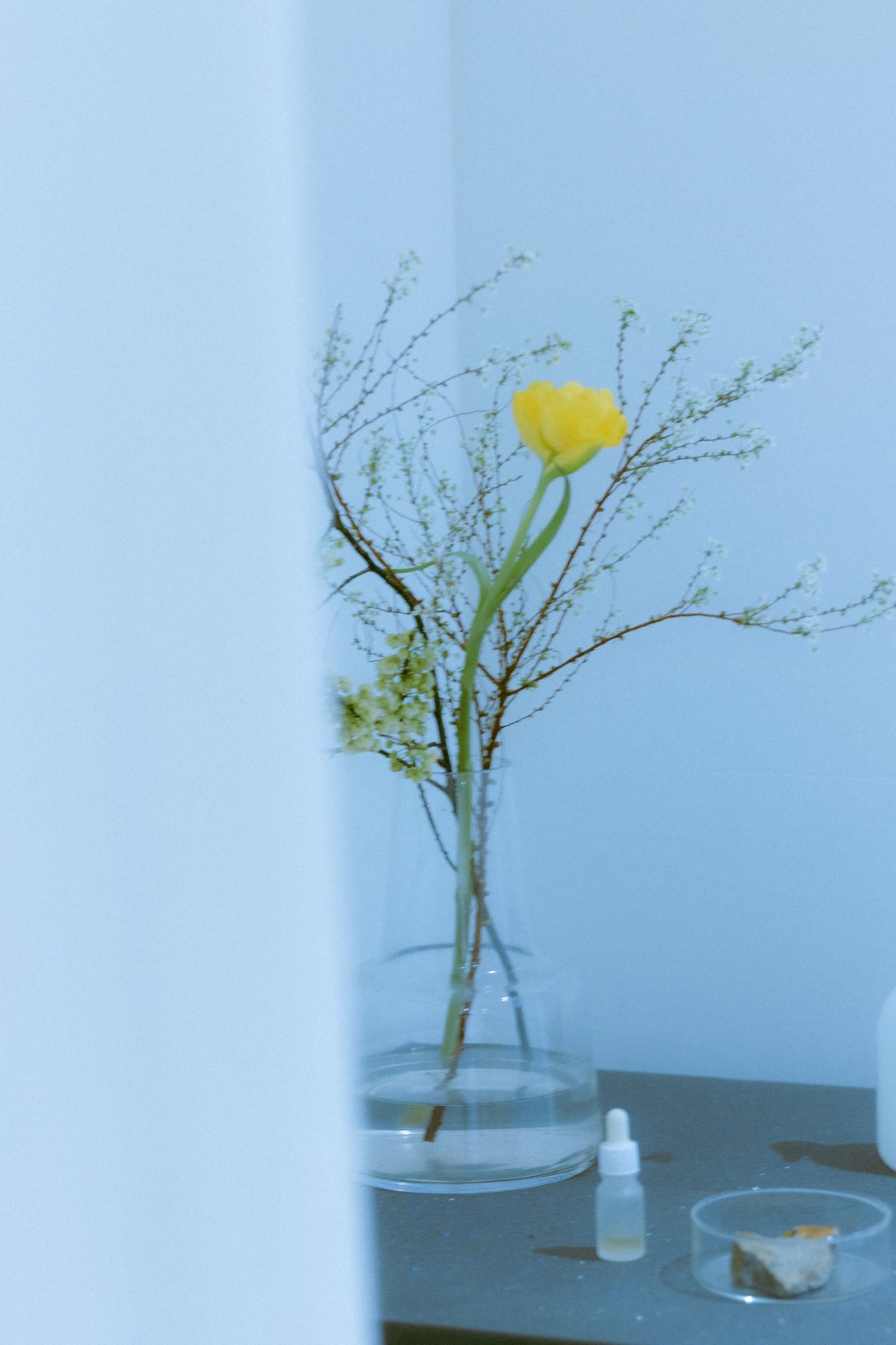 ガラスの花瓶に生けられた黄色い花