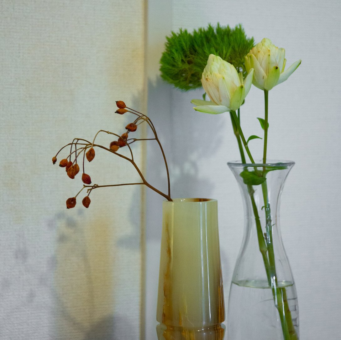 花瓶に生けてある植物