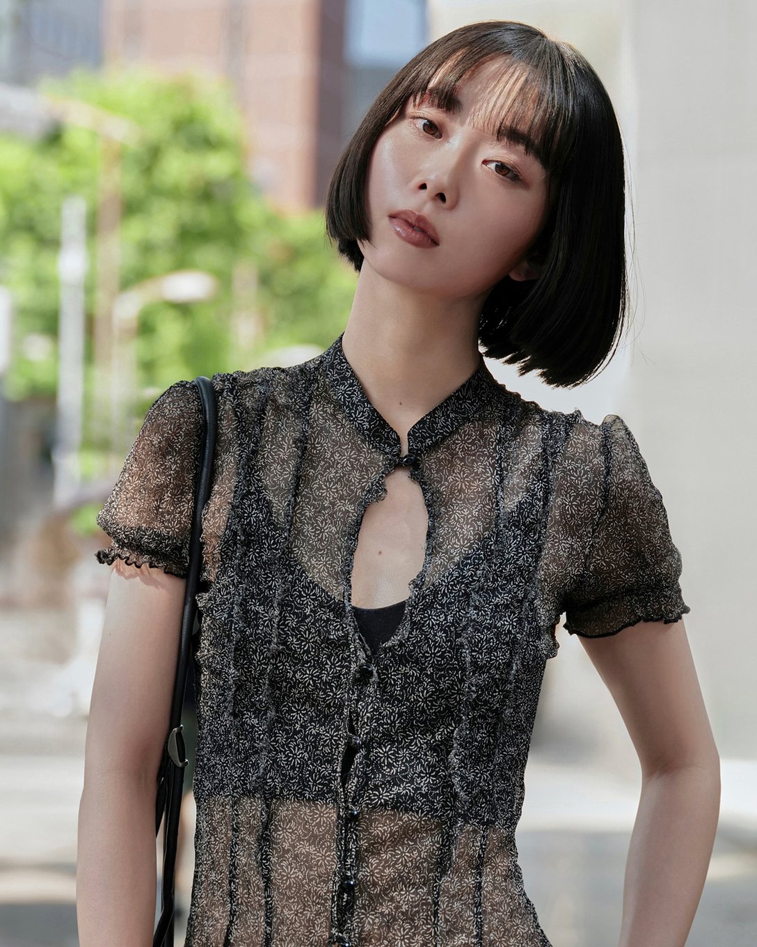 茉帆