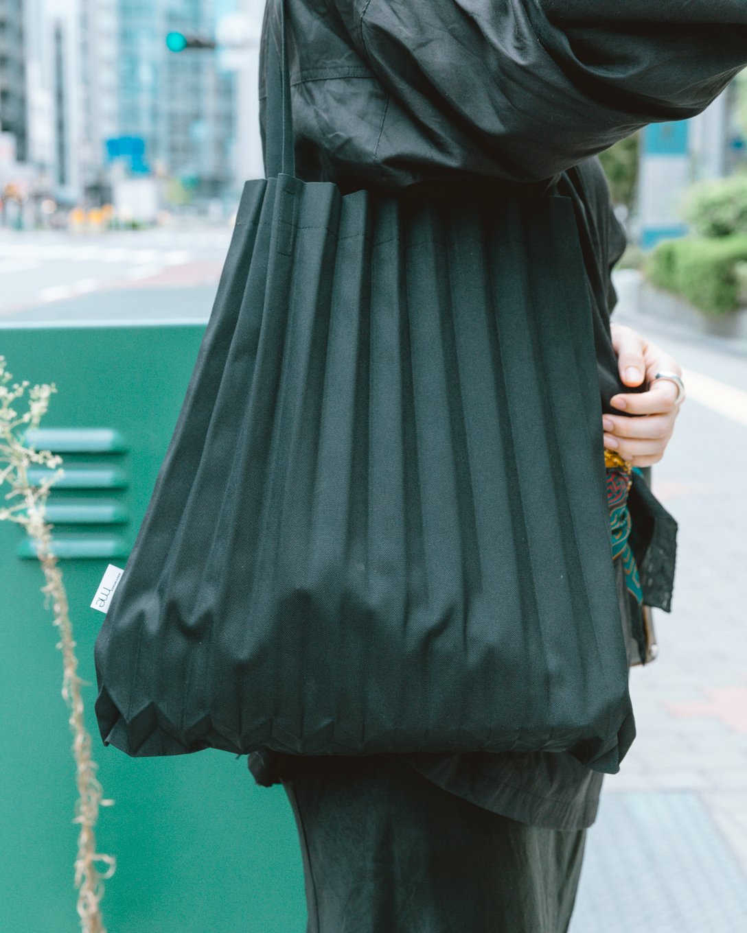 藥本　萌