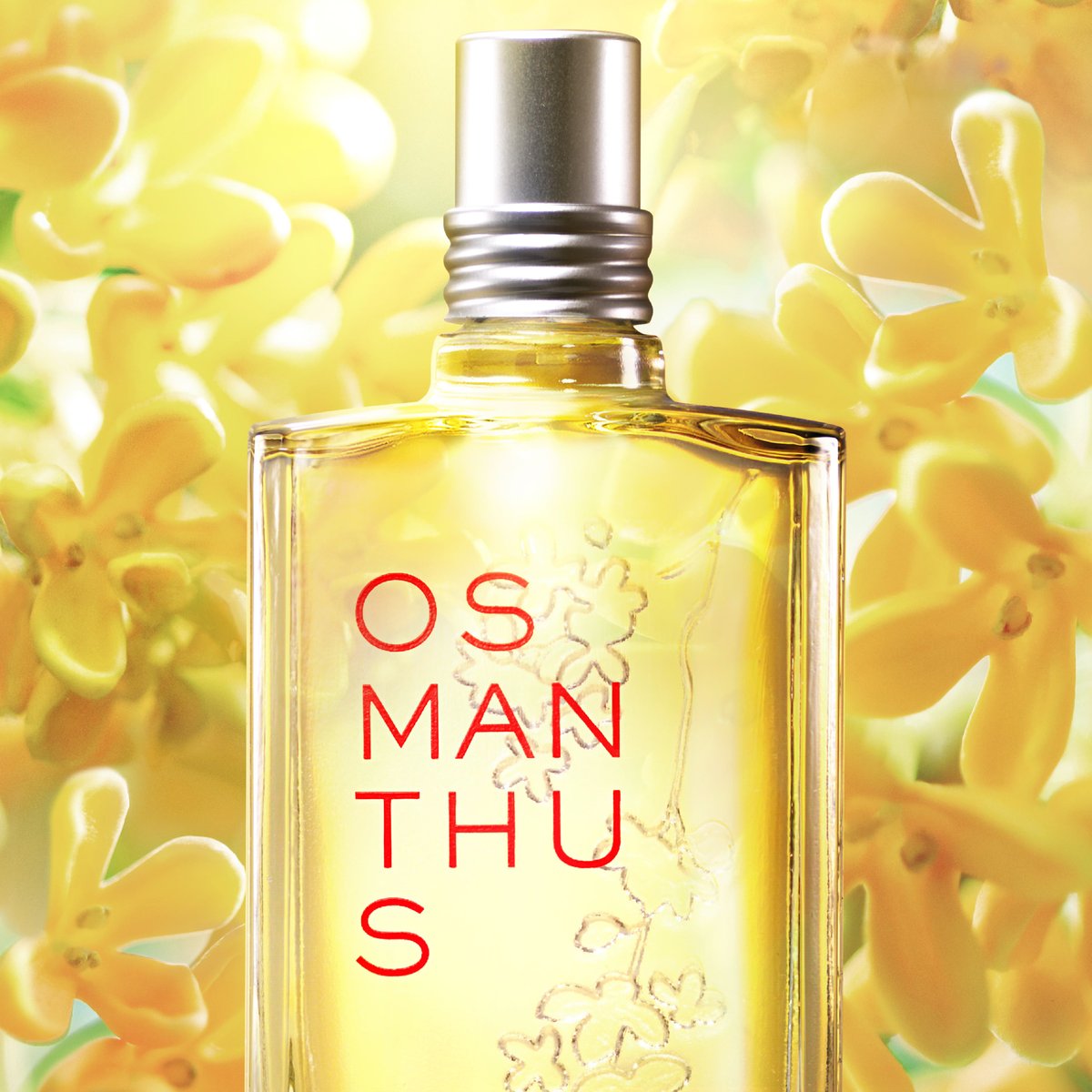 金木犀の花と金木犀の花がデザインされたボトルに入った香水