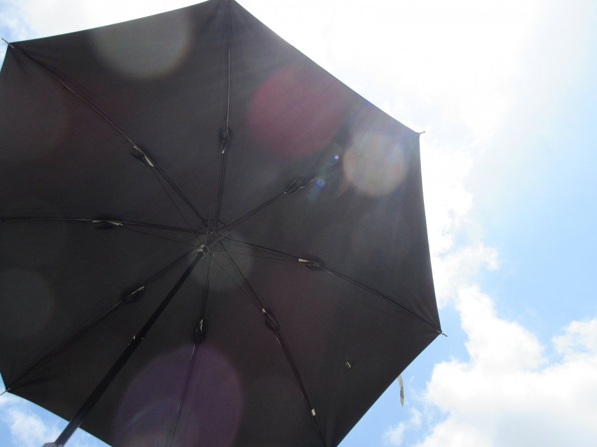 黒い日傘