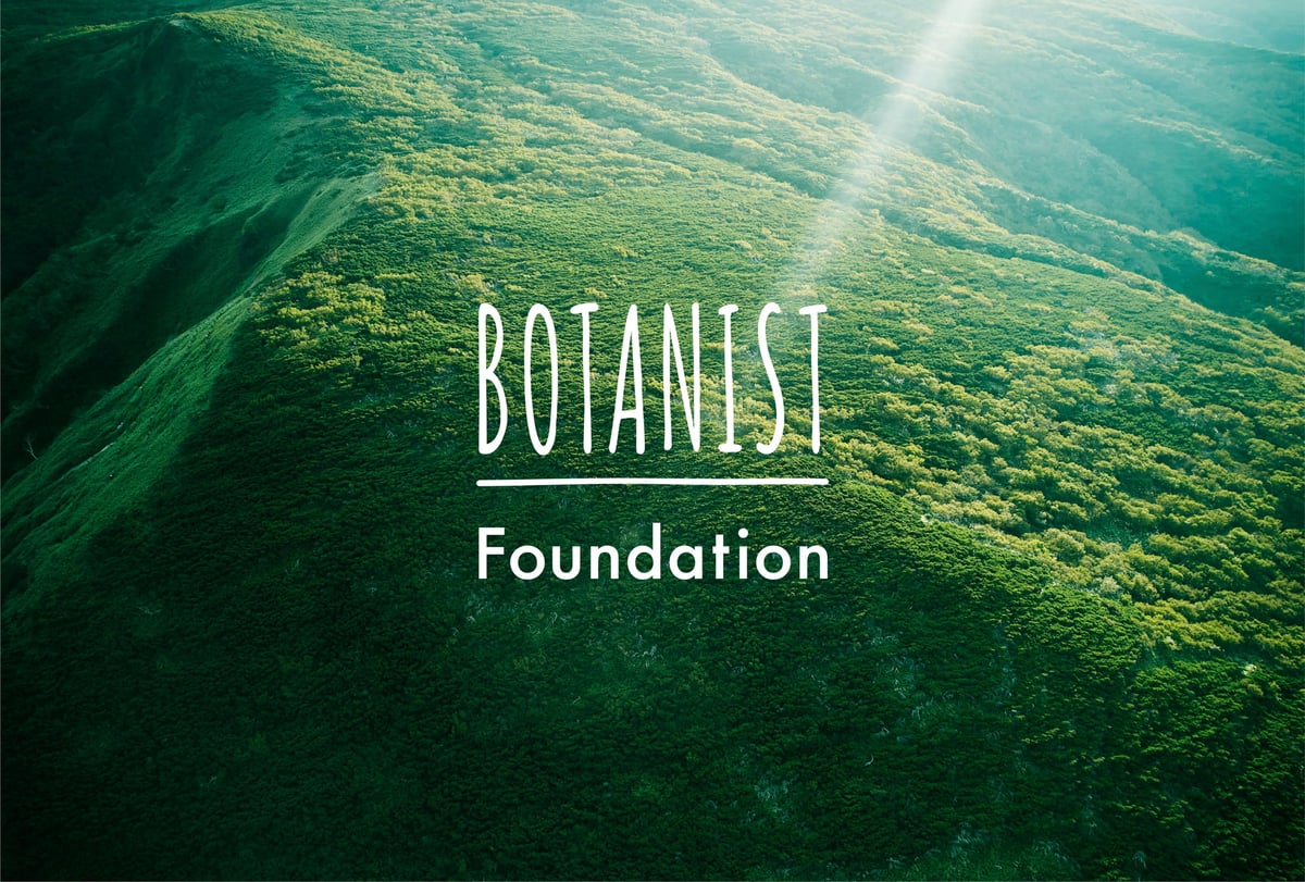 ボタニスト財団が行う持続的な社会の実現をイメージした画像