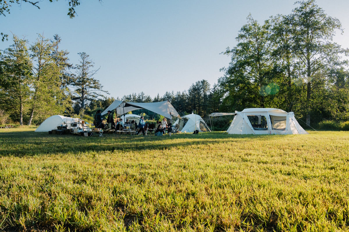 草地に建てられたテントでキャンプを楽しむ人々