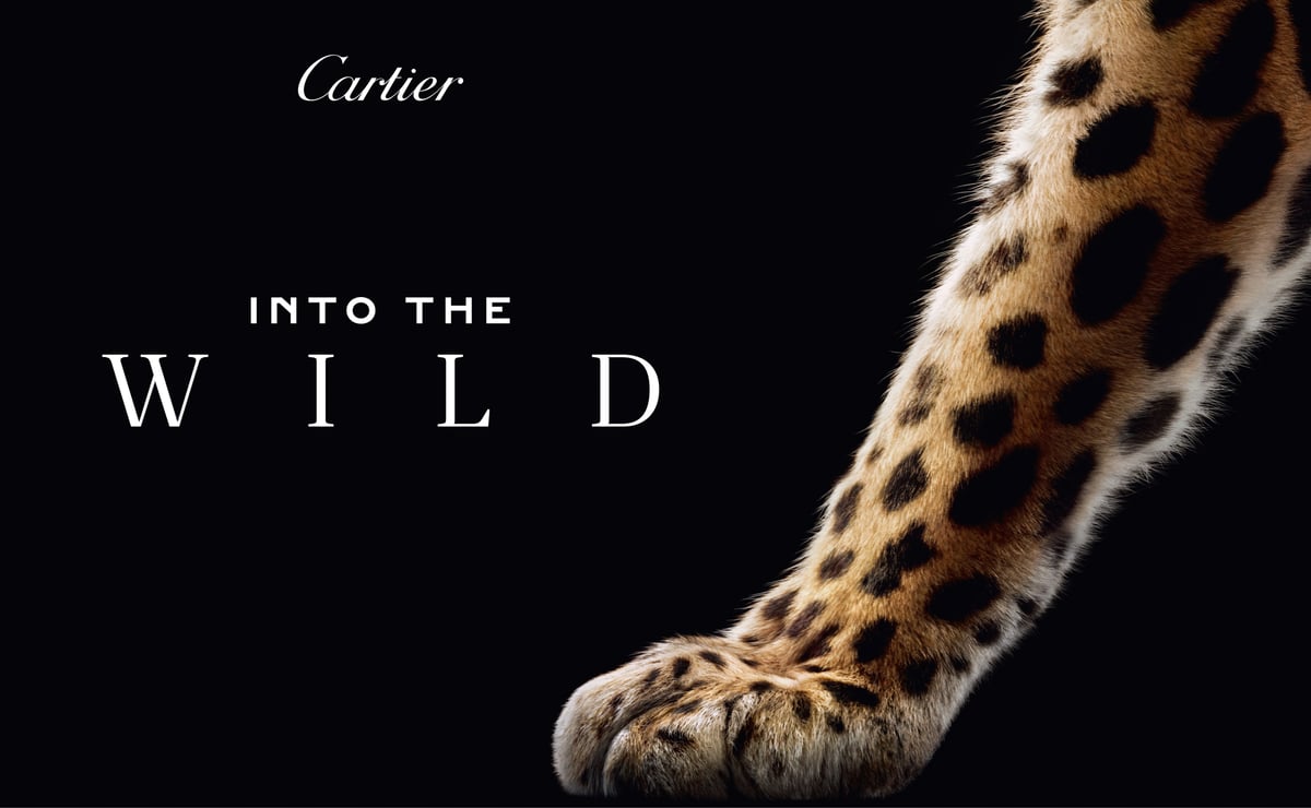 カルティエ(Cartier)が開催するポップアップのキーヴィジュアル
