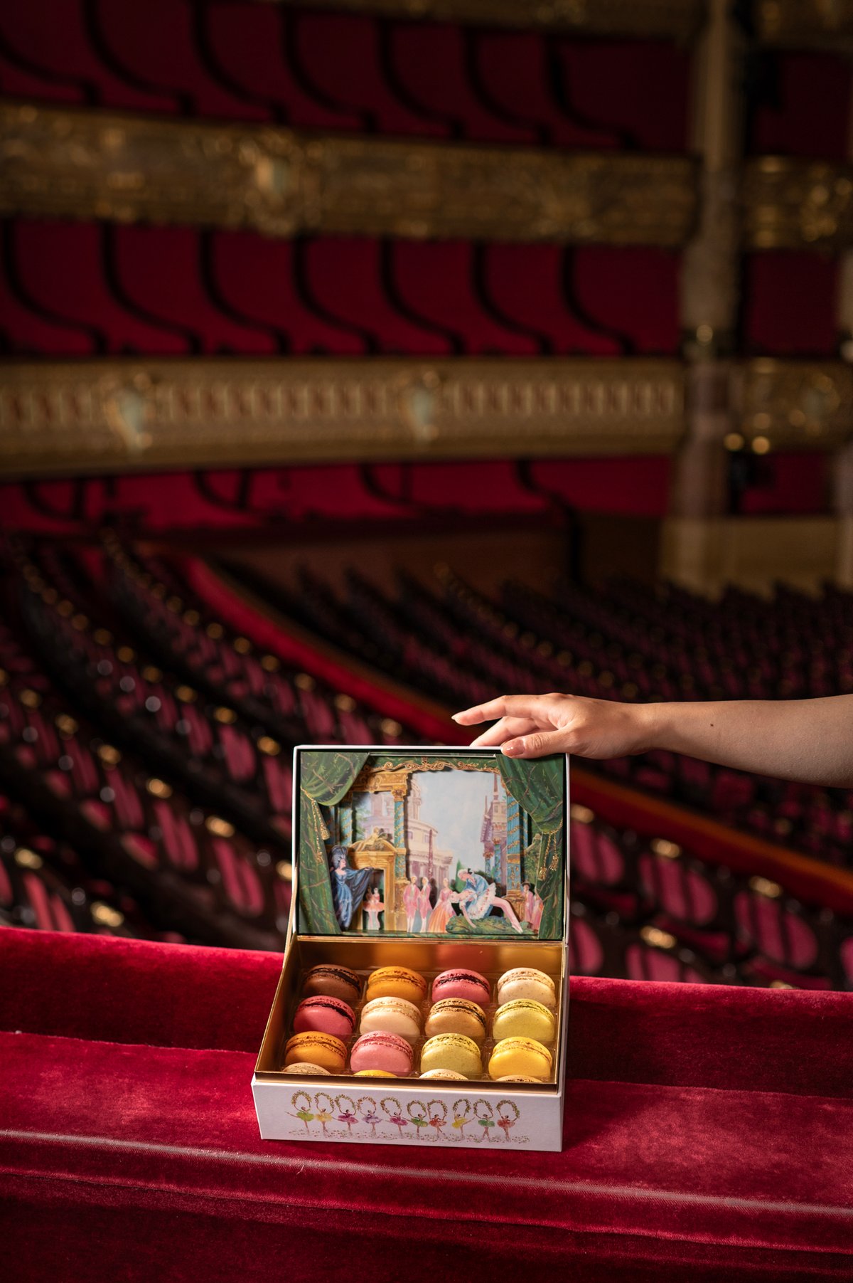 限定マカロンボックス「パリ・オペラ座 ─ 眠れる森の美女」 商品画像