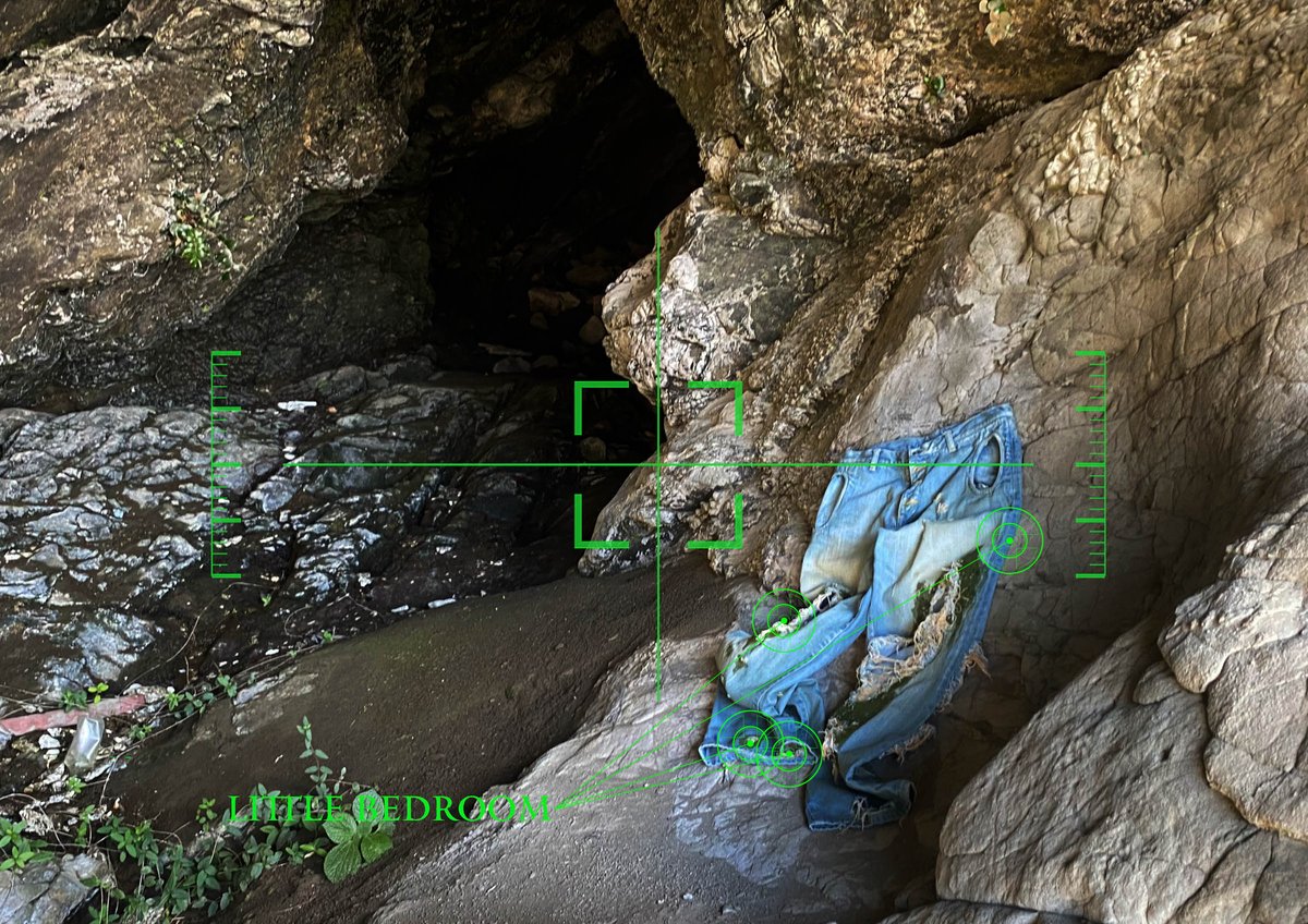 ヴィジュアル画像