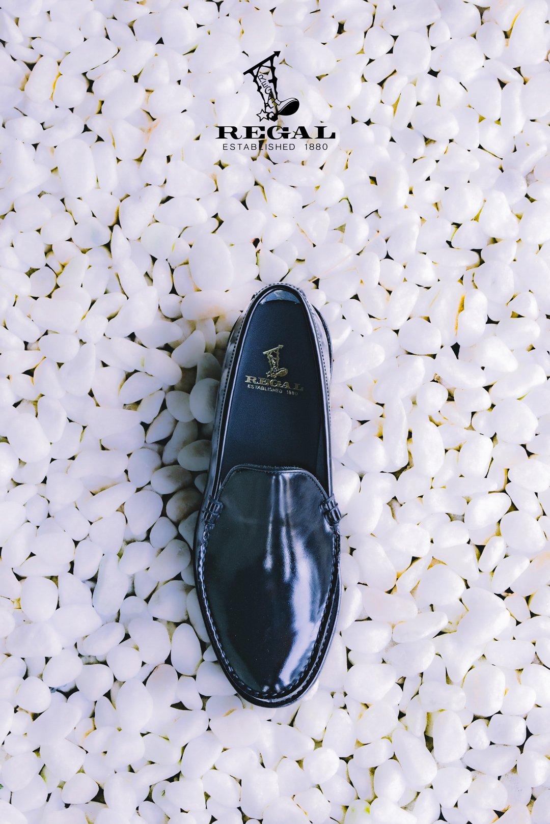 ヴィジュアル画像