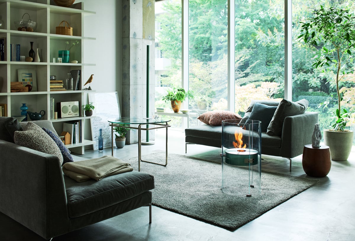 EcoSmart Fire