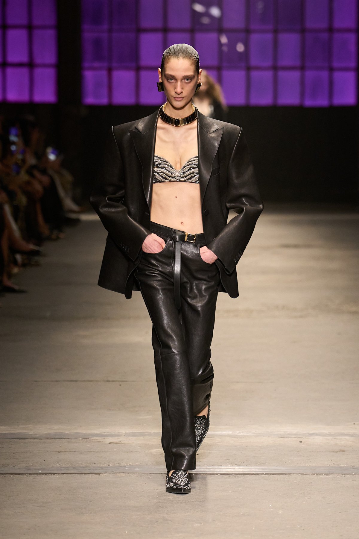 Roberto Cavalli 2026年秋冬