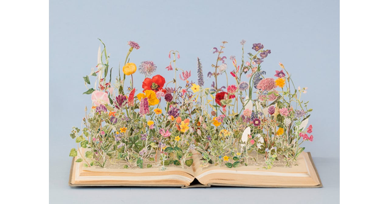 飛べ今すぐ　芸術作品 新刊情報公開】 ひこスペ最新号はタミヤ1/48傑作機シリーズ特集を展開