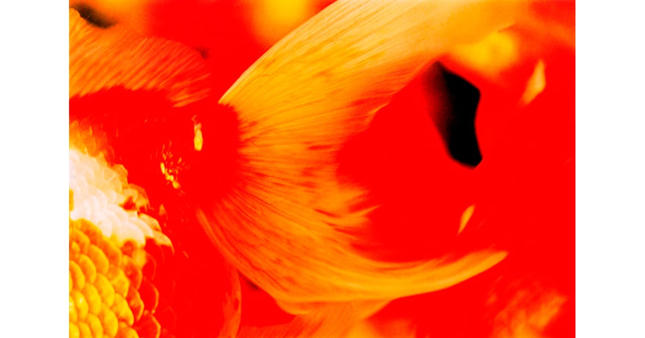ART_PHOTO_TOKYO_20161102_001.jpg