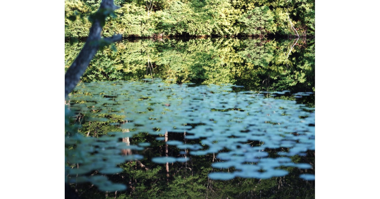 写真家の鈴木理策が展覧会「Water Mirror」を渋谷で開催