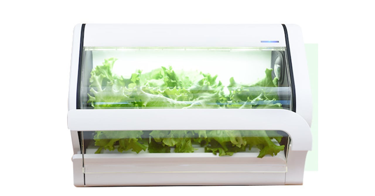 水耕栽培キット コンパクト　野菜物語 カメラ機能搭載の家庭用水耕栽培キット発売