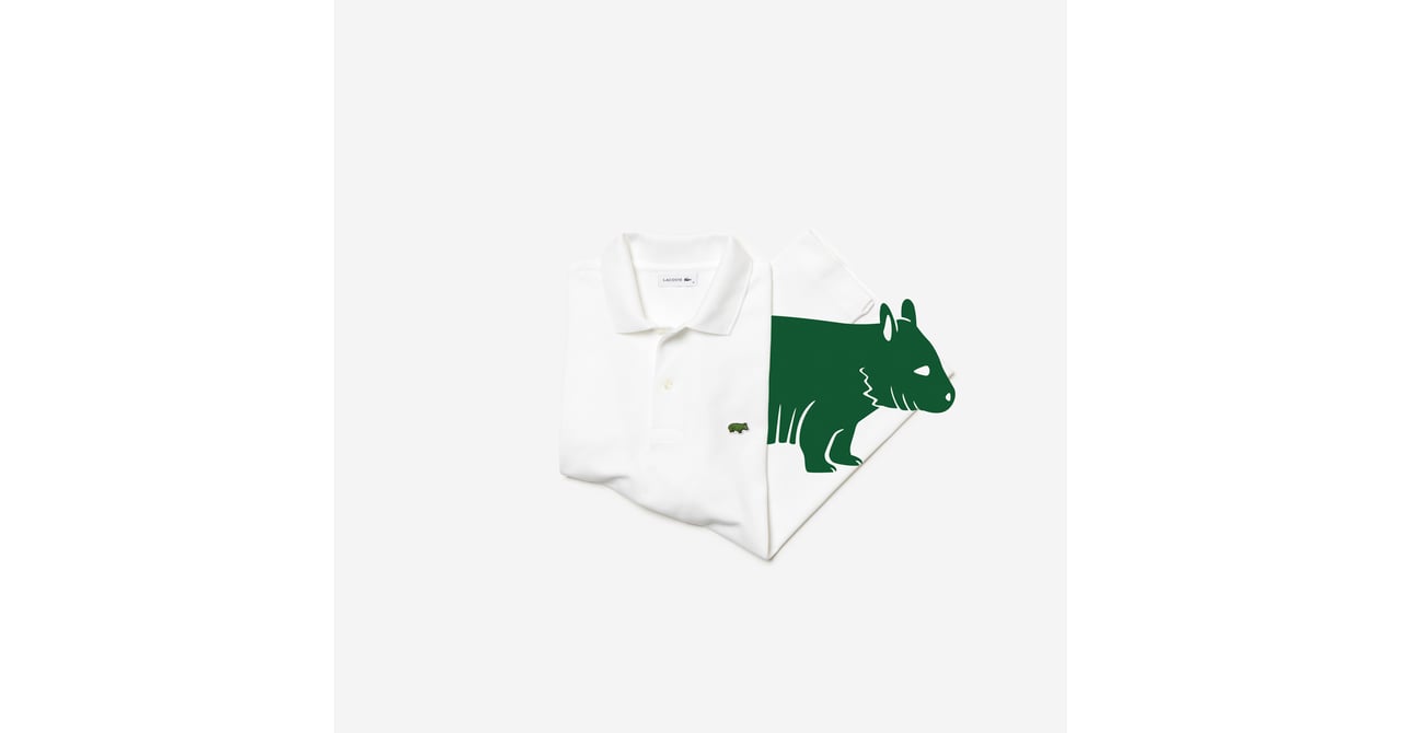 LACOSTE SAVE OURSPECIES ハワイアンモンクアザラシ刺繍ポロ LACOSTE SAVE OURSPECIES ハワイアンモンクアザラシ刺繍ポロ | IHOME.LK