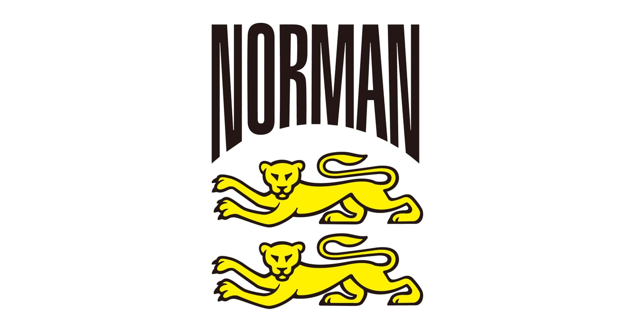 D*i様 【極美品】NORMAN by馬場圭介氏　ワッペン　デザイン　長袖カット 馬場圭介の「ノルマン」がジェイアール京都伊勢丹に限定店を出店