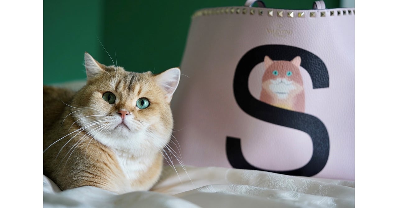valentino_pet_20201106-001.jpg