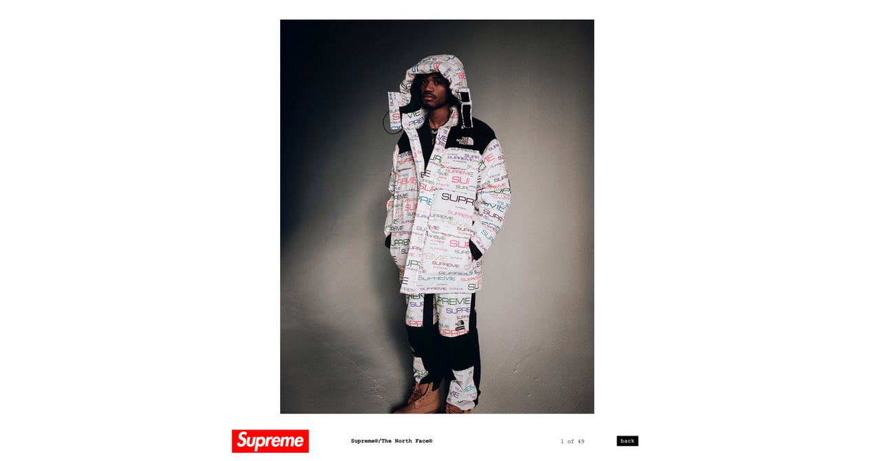 supreme_thenorthface-1.jpg