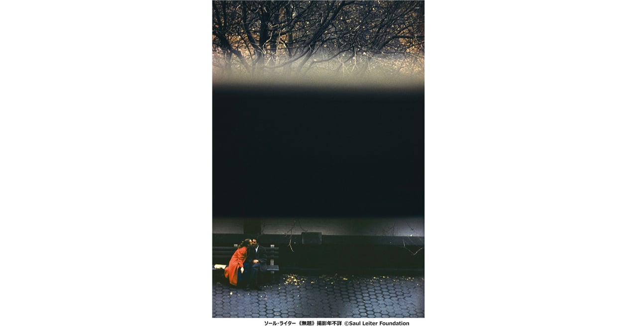 Amazon.co.jp: Saul Leiter In My Room ソールライター 写真集