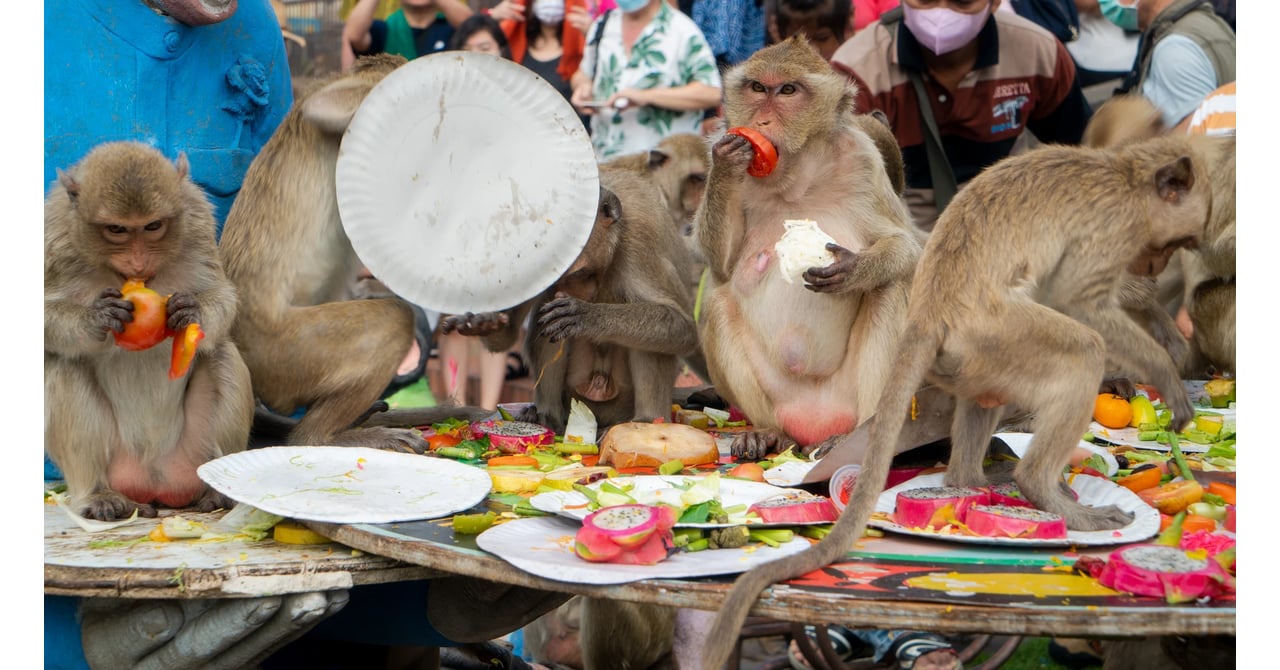 1670217959015-dsc00853.webp
