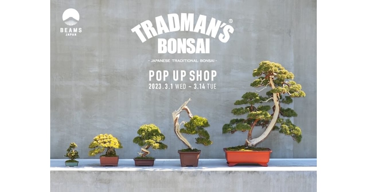 【盆栽鉢】TRADMAN'S BONSAI BEAMS コラボ beamsi-202302281.jpeg