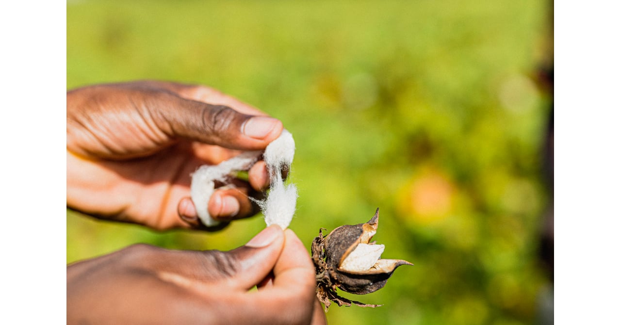 ロンハーマンが「ファーマーズ 360℃ リンク」に参画、ものづくりで