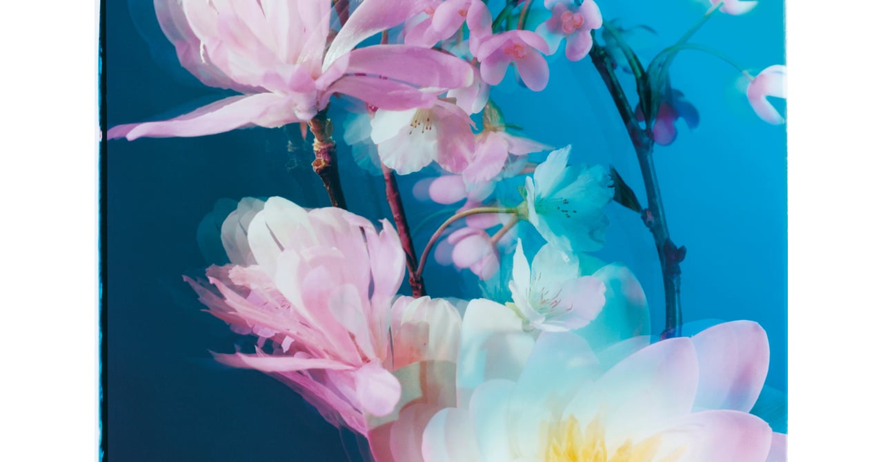 jomalone-blossoms-20230317-