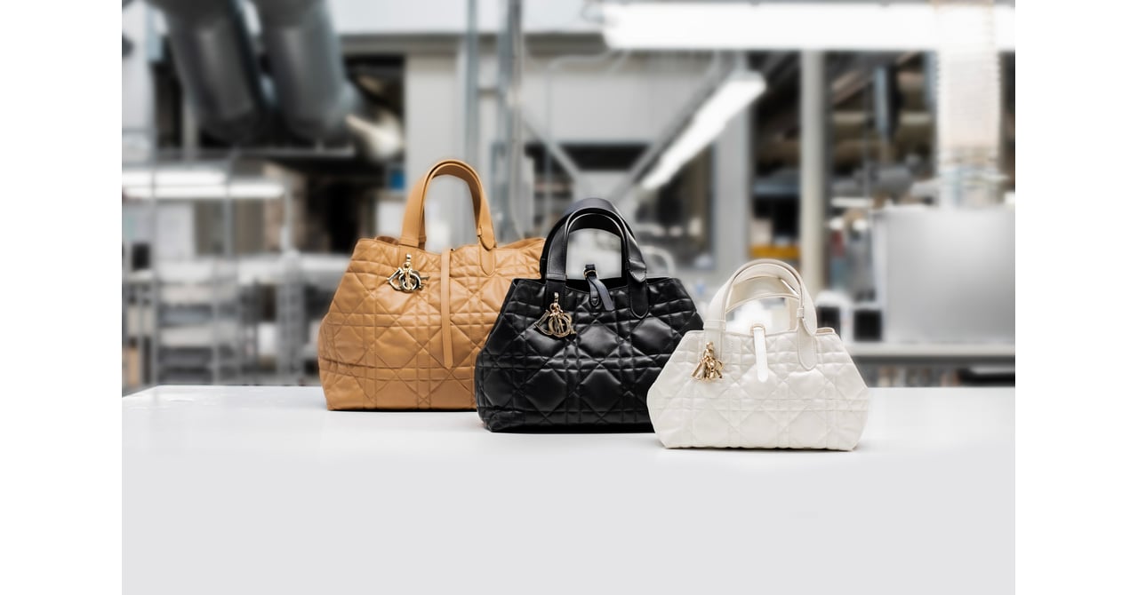 ディオール　新品未使用 dior-toujourbag16.jpg