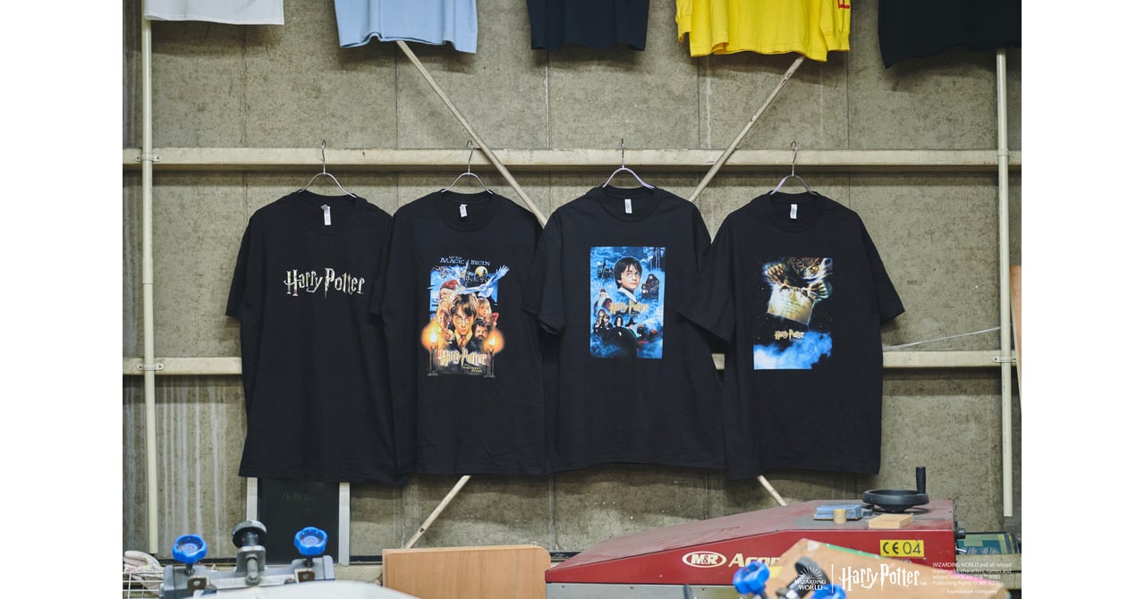 journalstandard-harrypotter-