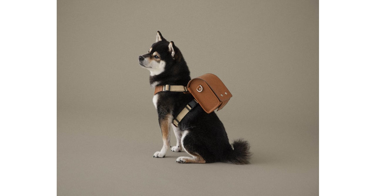 TSUCHIYA KABAN ペット用ランドセル tuchiyakaban-20231025-002.jpg