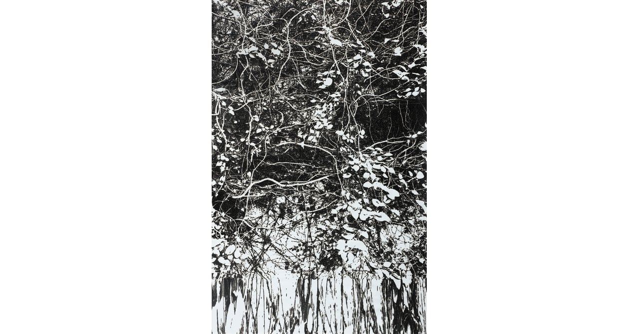 未使用品　市川良夫　iZikawa ヨシオ　音律皿　金　銀　芸術品　美術品 市川博一｜京都工芸美術作家協会