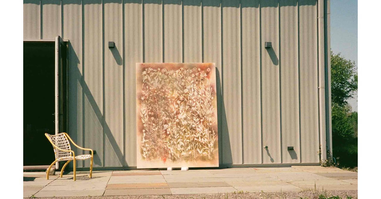 Sam Falls アートと自然が表現する生命の儚さ