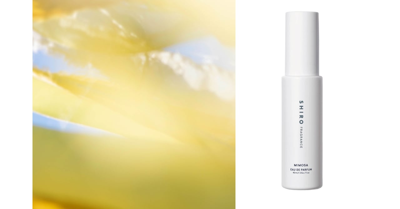 shiro-mimosa20240206-top2-