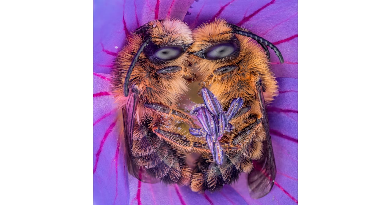 GUERLAIN-20240423-001-3e5bd7dd