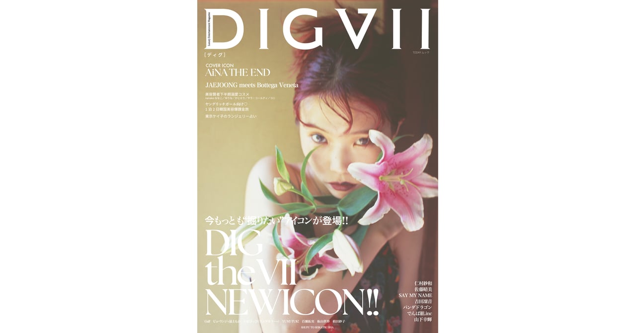 Steve創刊号 digvii-launch-001-9b60e844-
