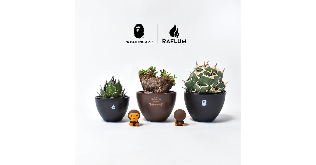 urban-jungle-weeks-010-