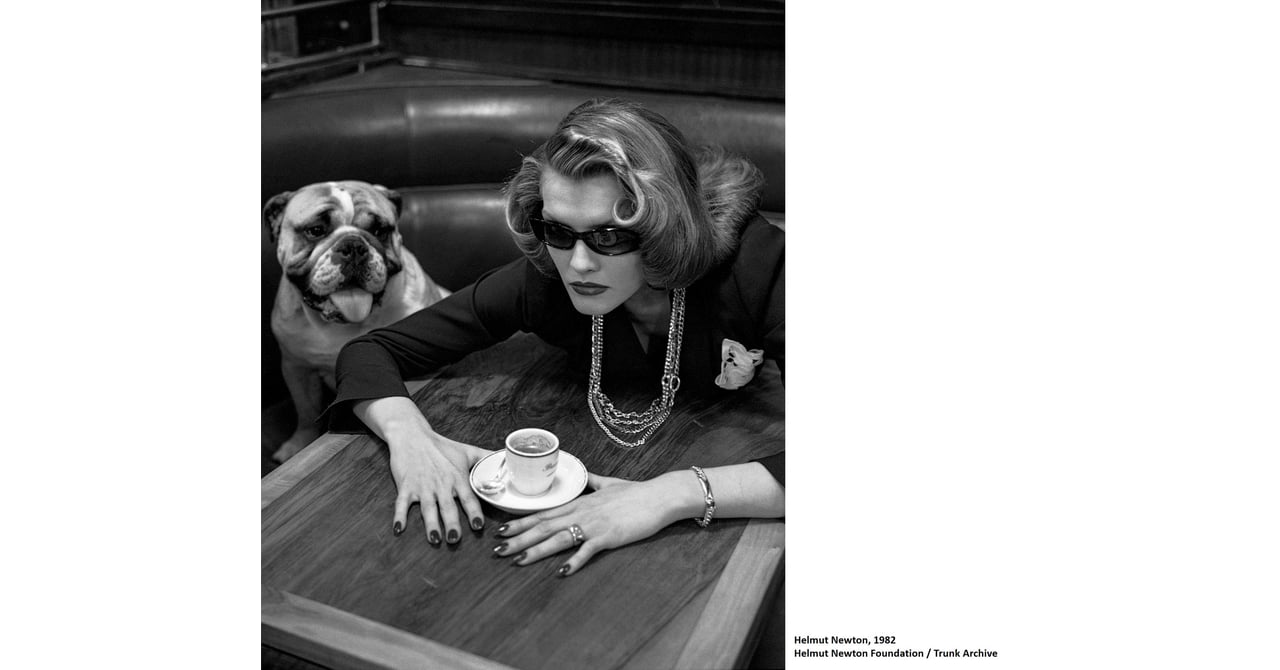 ポメラートが「ポメラート、ヘルムート・ニュートン＆1980年代」展を