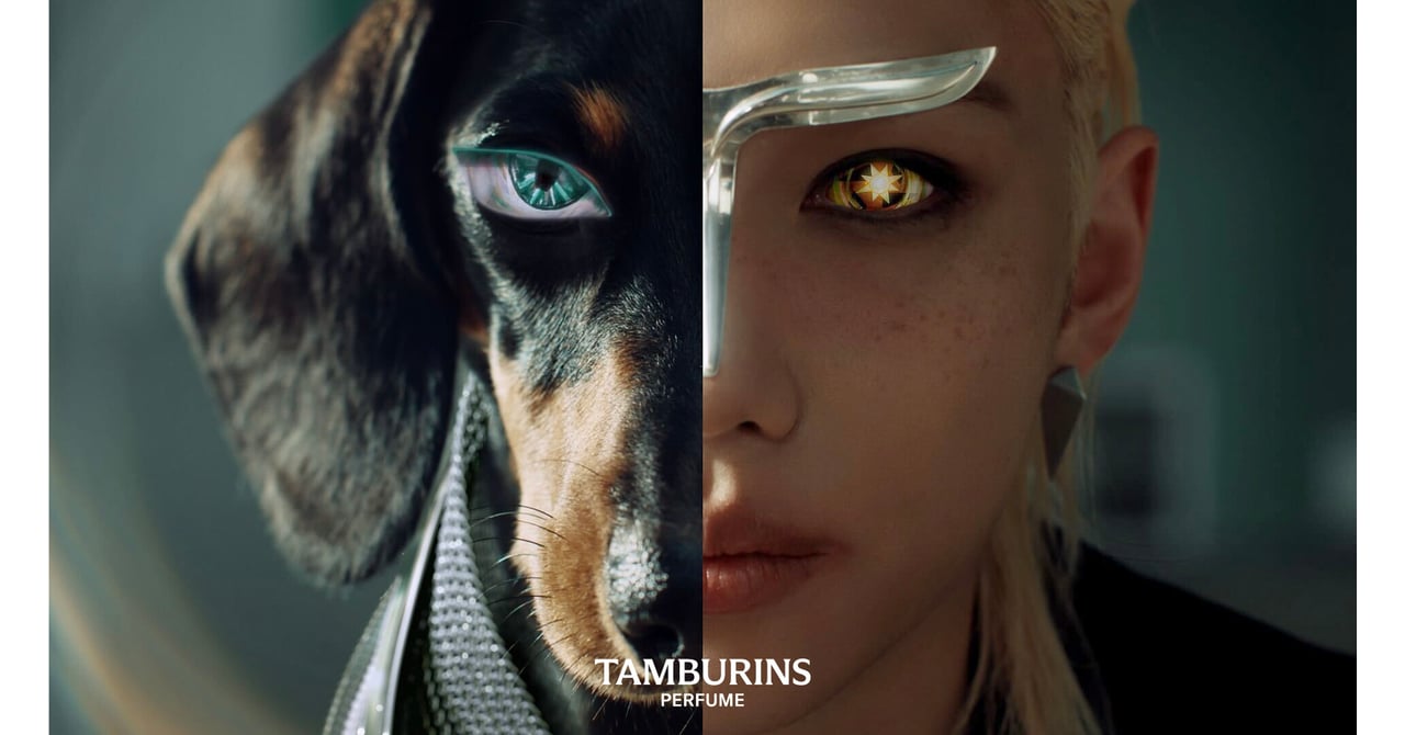 タンバリンズから“子犬の夢”の新作が登場 キャンペーン映像にはStray