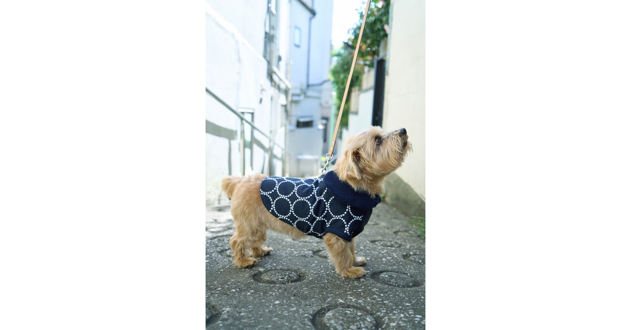 ミナ ペルホネンが犬用アイテムを発売、コットンジャカード素材を採用