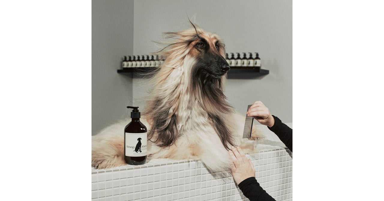 愛犬と楽しむイベント「イソップ パウ パーラー」が東京で開催