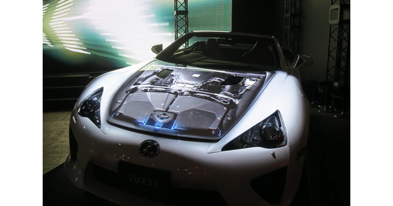 レクサス②ドウダン　6本 2ux3j-20130111_014.jpg