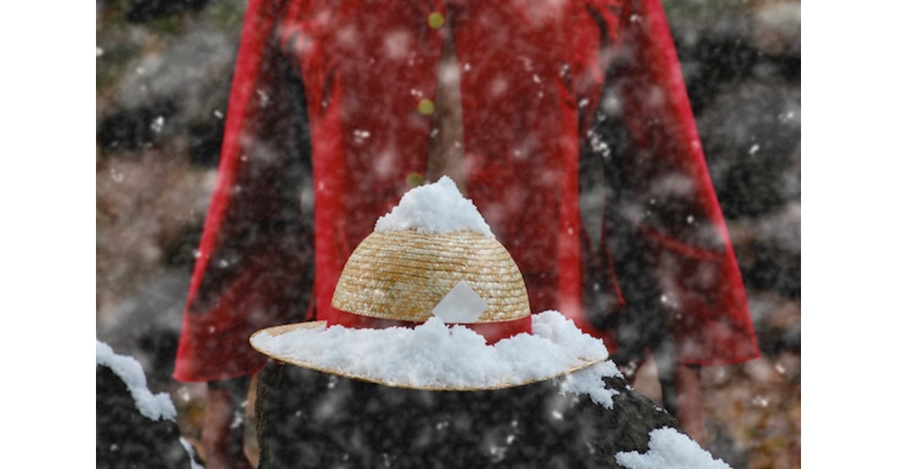 muhgiwara_rufi_2012_1.jpg
