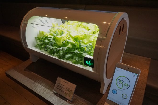 スタイリッシュな日本初のIoT水耕栽培機「foop」新ラインナップ発表