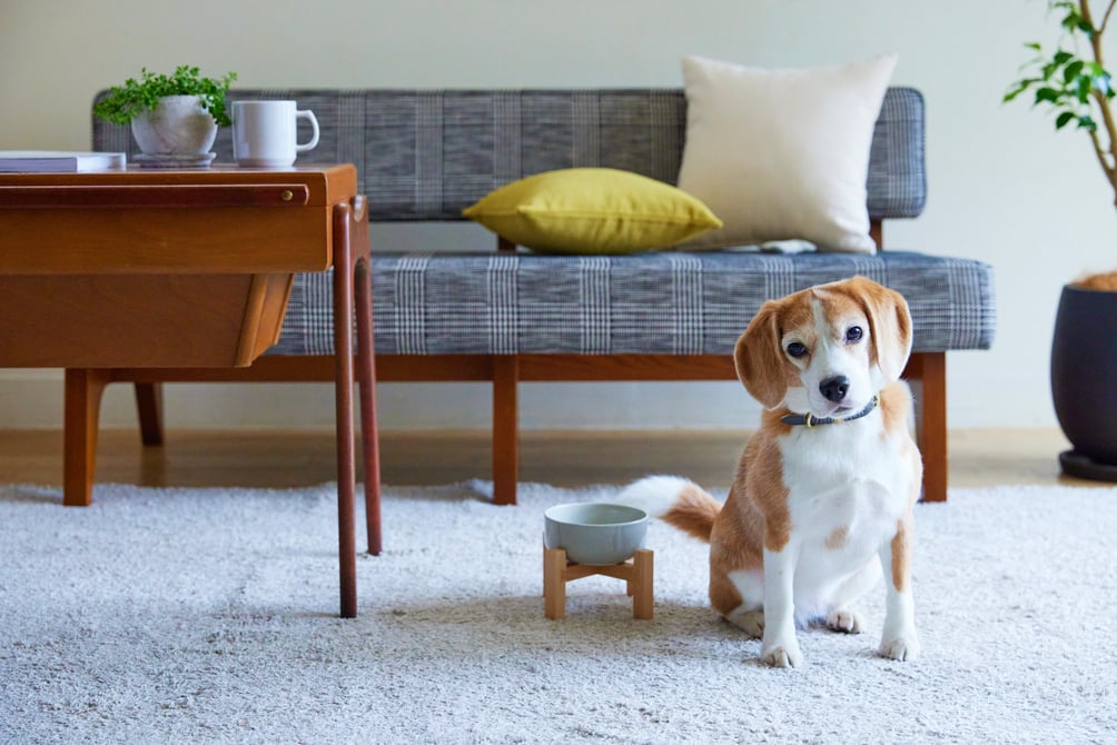 イデー 犬用ベッド MILOU by IDEE Bed Cudler MILOU by IDEE Bed Cudler フェザー｜ベッド・クッション｜IDEE
