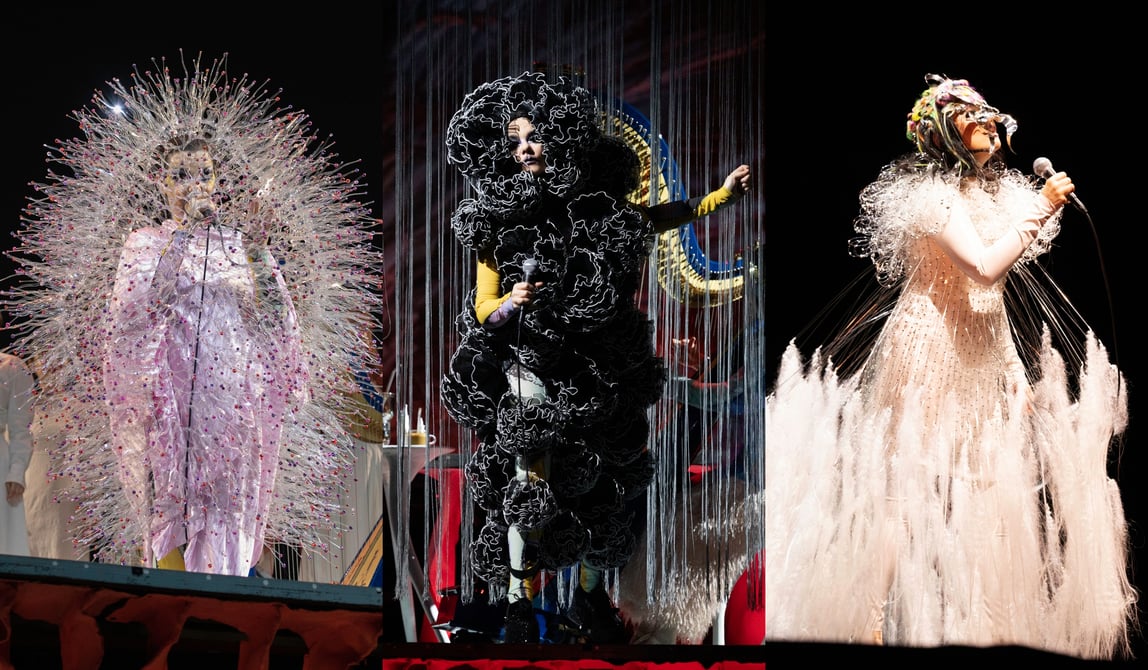 試着のみ】ビョーク フーディーM bjork orkestral 2023 歌姫・ビョークの唯一無二のスタイルに迫る ジャパンツアーで