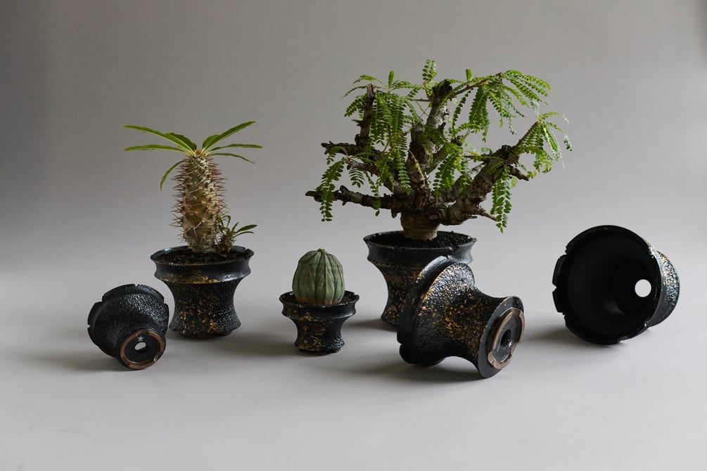 野村豪人　豪人窯　豪人鉢　GOUJINPOT BOTANIZE 新品 converse-botanize-230529-009.jpg