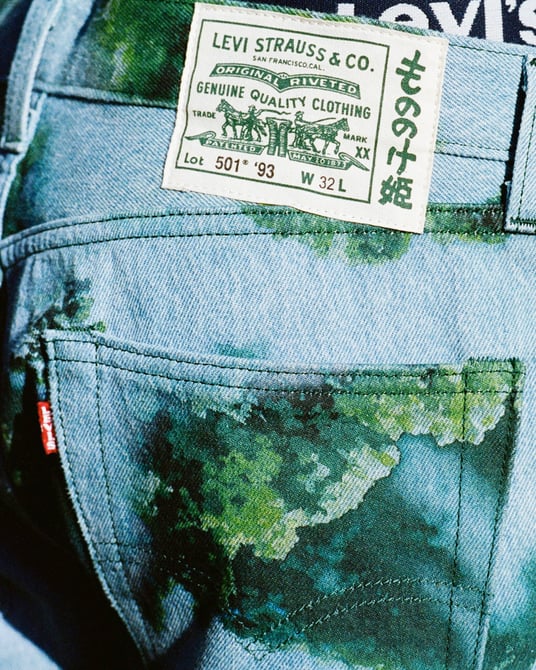 LEVI'S もののけ姫 リーバイス　501 93 Jeans 34